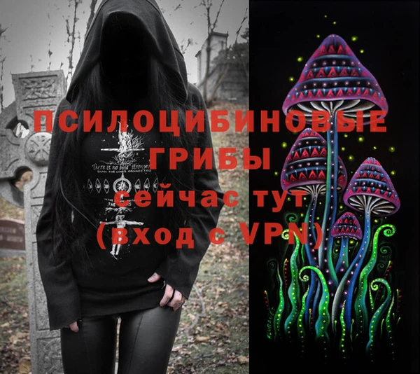 2c-b Надым