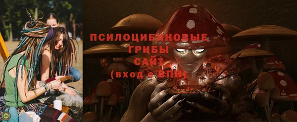 2c-b Надым