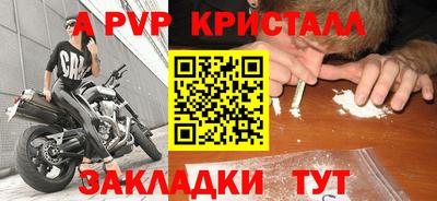 стаф Заводоуковск