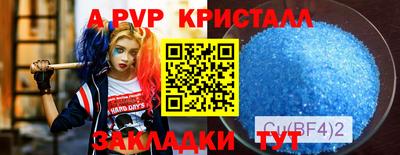 стаф Заводоуковск