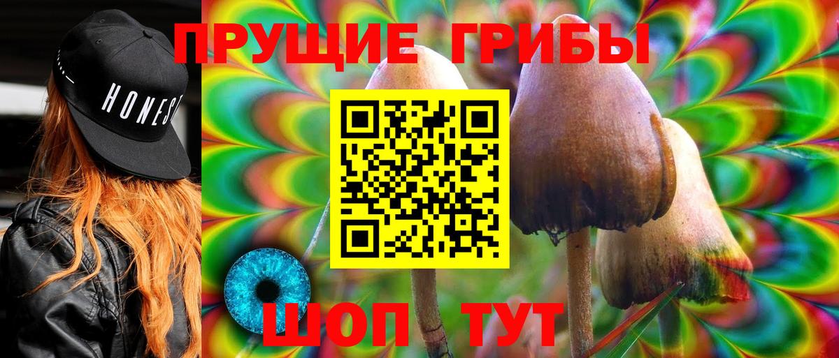 Псилоцибиновые грибы GOLDEN TEACHER Набережные Челны